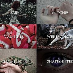 I recently reached 1k and I wanted to say thanks to all of you. I've made some great friends on this account and it just makes me really happy!! Iron Fey, Books Series, Book Genre, Book Board, Vampires And Werewolves, Creative Books