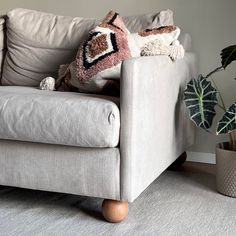 a living room with a couch, potted plant and decorative pillows on the back