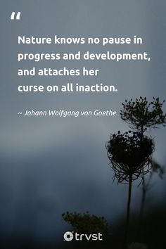 there is a quote on nature that says nature knows no pause in progress and development, and attaches her curse on all ination