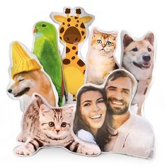 a group of cats, dogs and other animals are featured in this photo collage