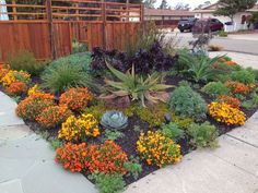 an assortment of flowers and plants in a flower bed on the side of a road