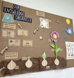 a bulletin board with paper flowers and other things on it's side that says our knowledge organizer