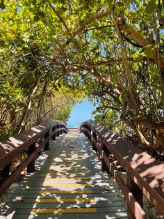 a wooden walkway leading to the beach through trees