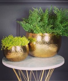 two gold planters sitting on top of a white table next to a black wall