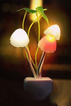 three mushrooms in a small white vase with a light shining on it's side