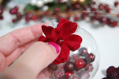 a hand holding a tiny red flower in a glass bowl