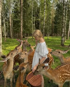 Soft Life Era, A Soft Life, Soft Life, Cottage Core Aesthetic, Pretty Animals, Cute Animal Photos, Animal Photo, Cute Little Animals, Country Life