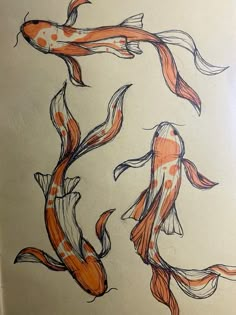 three orange and white koi fish are swimming in the water with their tails curled up