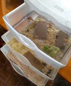 three plastic bins filled with food on top of a wooden table