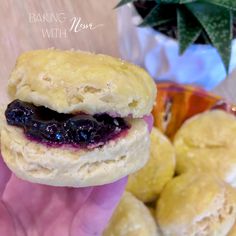 a hand holding a pastry with blueberry filling