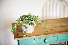 a potted plant sitting on top of a wooden table next to a white chair