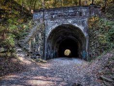 a tunnel in the middle of a wooded area