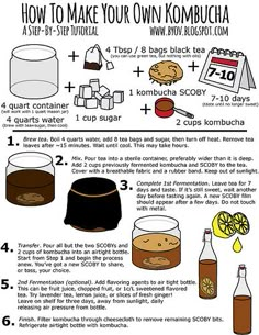 how to make your own kombucha recipe with instructions for making the drink