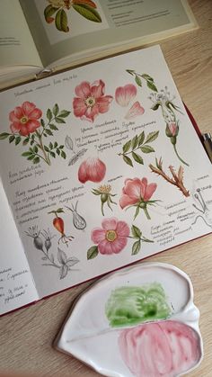 an open book with flowers on it next to a paintbrush and some watercolors