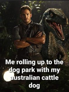 a man standing next to a dinosaur with his arms crossed and the caption reads, me rolling up to the dog park with my australian cattle dog