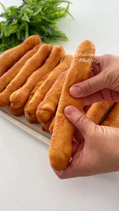 a person holding a long hot dog bun in front of some green plant life on a white surface