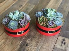 two red boxes with succulents in them sitting on a wooden floor next to each other