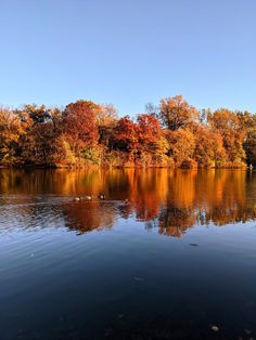 a lake surrounded by lots of trees with orange and yellow leaves on the water's surface