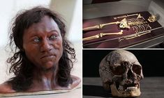 three different pictures of human skulls and bones in various stages of development, including an adult skull with long hair