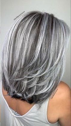 Silver Hair Color, Silver Grey Hair, Gray Hair Highlights, Long Gray Hair