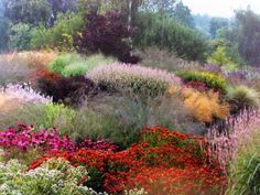 a garden filled with lots of different colored flowers