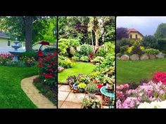 three pictures of different types of flowers and plants in the same yard, one is lawn