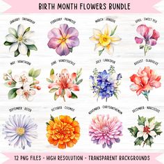 the birth month flowers bundle is shown in watercolor and has different colors on it