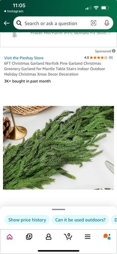 Pine Garland Christmas, Norfolk Pine, Pine Garland, Greenery Garland, Christmas Greenery, Outdoor Holidays, Christmas Garland, Xmas Decorations