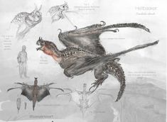 an artist's rendering of some kind of creature with wings and claws on it