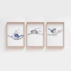 three framed pictures with birds sitting on branches