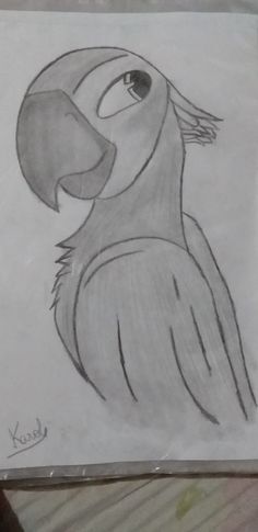 a pencil drawing of a bird with an angry look on it's face and beak