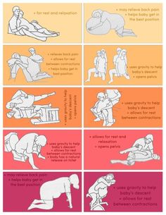 an info sheet describing how to use the correct postures for bodybuilding and flexibility