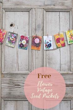 an old door with flowers hanging on it and the words free flower vintage seed packets