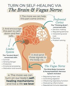 Neuroscience Art, Brain Facts, Mental Health Facts, Parasympathetic Nervous System, Mental Health Therapy, Vagus Nerve, Counseling Resources, Therapy Worksheets