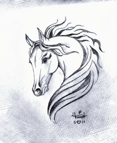 a drawing of a horse with long manes