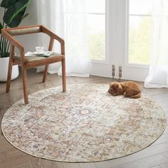 a brown dog laying on top of a rug in a living room next to a chair