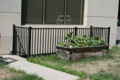 a planter filled with vegetables sitting in front of a building