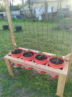 several potted plants are sitting on a wooden bench