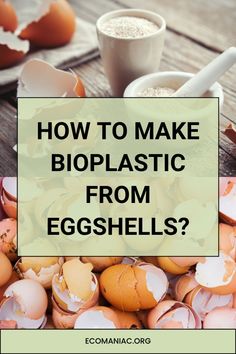 eggshells with the words how to make bioplastic from eggshells?