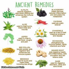 * Ancient Remedies, Body And Health, Magia Das Ervas, Natural Healing Remedies, Herbal Healing, Herbal Magic, Herbs For Health, Homemade Remedies, Natural Health Remedies