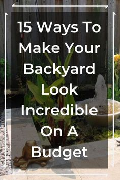 a backyard with rocks and plants on the ground text reads 15 ways to make your backyard look incredible on a budget