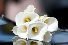 some white flowers are sitting on the hood of a car