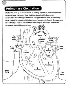 a diagram of the human heart with instructions for labeling it in black and white ink