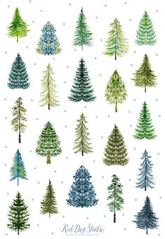 watercolor christmas trees on white paper with polka dots