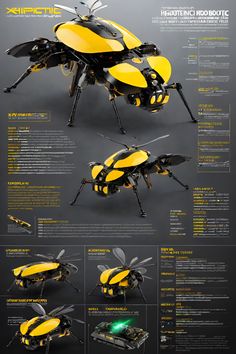 an image of a yellow and black insect with instructions on it's back side