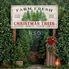 a christmas tree farm sign surrounded by trees