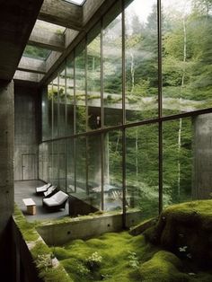 the interior of a building with moss growing on the floor and walls, along with large windows