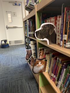 there is a dog and cat head on the bookshelves in this office library