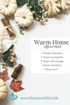 Diy Diffuser Blends, Home Diffuser, Fall Diffuser Blends, Plant Vegetables, Clove Essential Oil