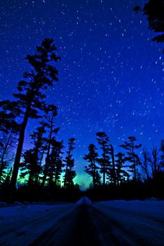 the night sky is lit up with stars and trees in the foreground, as well as snow on the ground